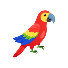 Parrot: The Colorful Birds of the Tropics