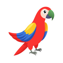 Parrot: The Colorful Birds of the Tropics