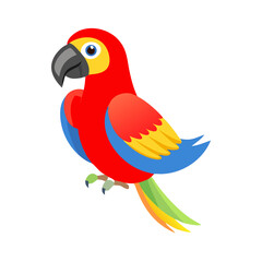 Parrot: The Colorful Birds of the Tropics