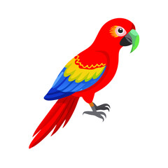 Parrot: The Colorful Birds of the Tropics
