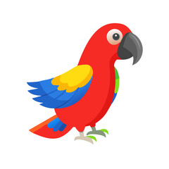 Parrot: The Colorful Birds of the Tropics