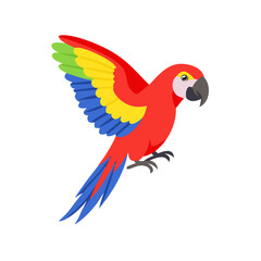 Parrot: The Colorful Birds of the Tropics