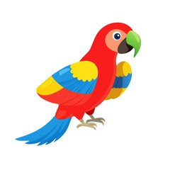 Parrot: The Colorful Birds of the Tropics