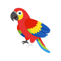 Parrot: The Colorful Birds of the Tropics