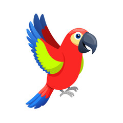 Parrot: The Colorful Birds of the Tropics