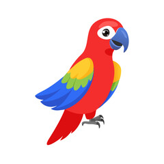 Parrot: The Colorful Birds of the Tropics