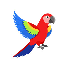 Parrot: The Colorful Birds of the Tropics