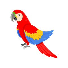 Parrot: The Colorful Birds of the Tropics