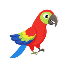 Parrot: The Colorful Birds of the Tropics