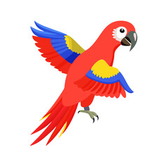 Parrot: The Colorful Birds of the Tropics