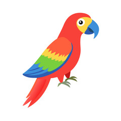 Parrot: The Colorful Birds of the Tropics