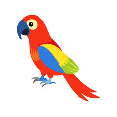 Parrot: The Colorful Birds of the Tropics