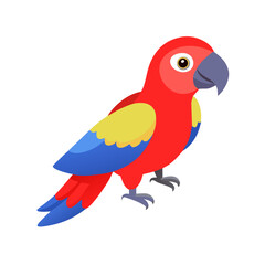 Parrot: The Colorful Birds of the Tropics