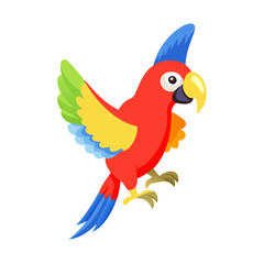 Parrot: The Colorful Birds of the Tropics