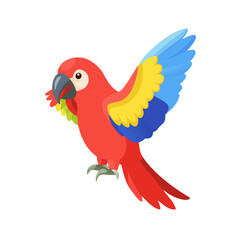 Parrot: The Colorful Birds of the Tropics