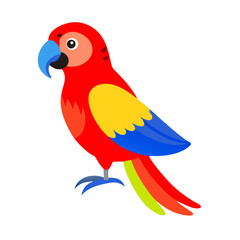 Parrot: The Colorful Birds of the Tropics