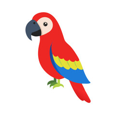 Parrot: The Colorful Birds of the Tropics