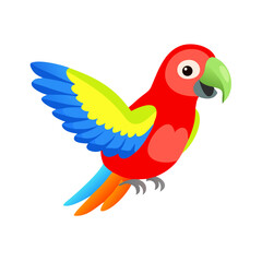 Parrot: The Colorful Birds of the Tropics