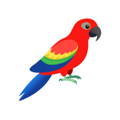 Parrot: The Colorful Birds of the Tropics