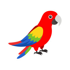 Parrot: The Colorful Birds of the Tropics