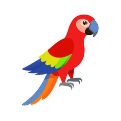 Parrot: The Colorful Birds of the Tropics