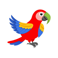 Parrot: The Colorful Birds of the Tropics