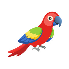 Parrot: The Colorful Birds of the Tropics