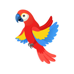 Parrot: The Colorful Birds of the Tropics