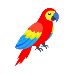 Parrot: The Colorful Birds of the Tropics