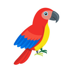 Parrot: The Colorful Birds of the Tropics