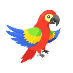 Parrot: The Colorful Birds of the Tropics