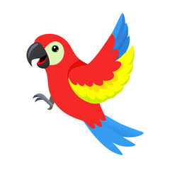 Parrot: The Colorful Birds of the Tropics