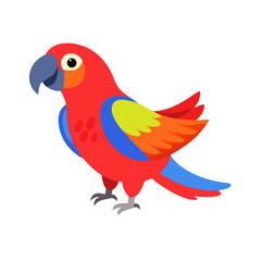 Parrot: The Colorful Birds of the Tropics