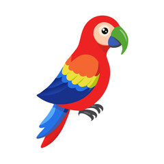 Parrot: The Colorful Birds of the Tropics
