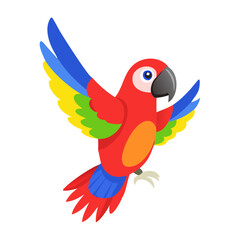 Parrot: The Colorful Birds of the Tropics
