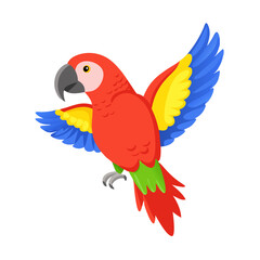 Parrot: The Colorful Birds of the Tropics