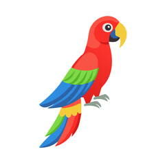Parrot: The Colorful Birds of the Tropics