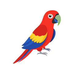 Parrot: The Colorful Birds of the Tropics