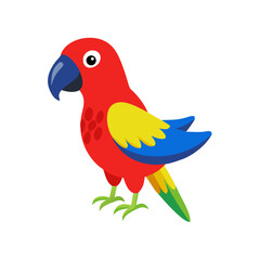 Parrot: The Colorful Birds of the Tropics