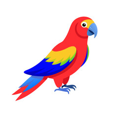 Parrot: The Colorful Birds of the Tropics