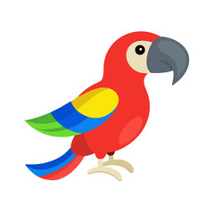 Parrot: The Colorful Birds of the Tropics
