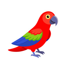 Parrot: The Colorful Birds of the Tropics