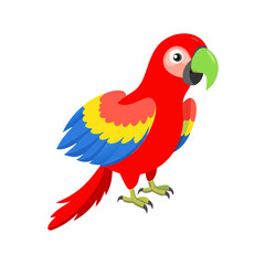 Parrot: The Colorful Birds of the Tropics