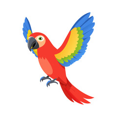 Parrot: The Colorful Birds of the Tropics
