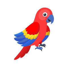 Parrot: The Colorful Birds of the Tropics