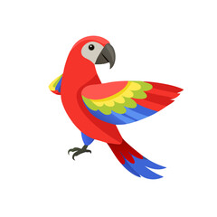 Parrot: The Colorful Birds of the Tropics