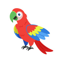 Parrot: The Colorful Birds of the Tropics