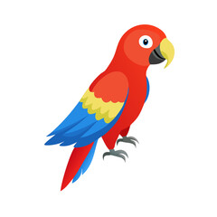 Parrot: The Colorful Birds of the Tropics