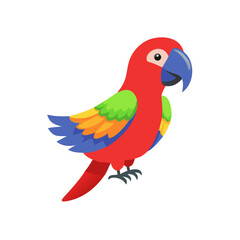 Parrot: The Colorful Birds of the Tropics