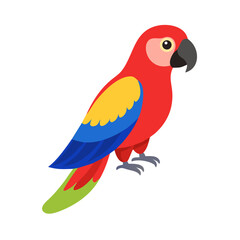 Parrot: The Colorful Birds of the Tropics